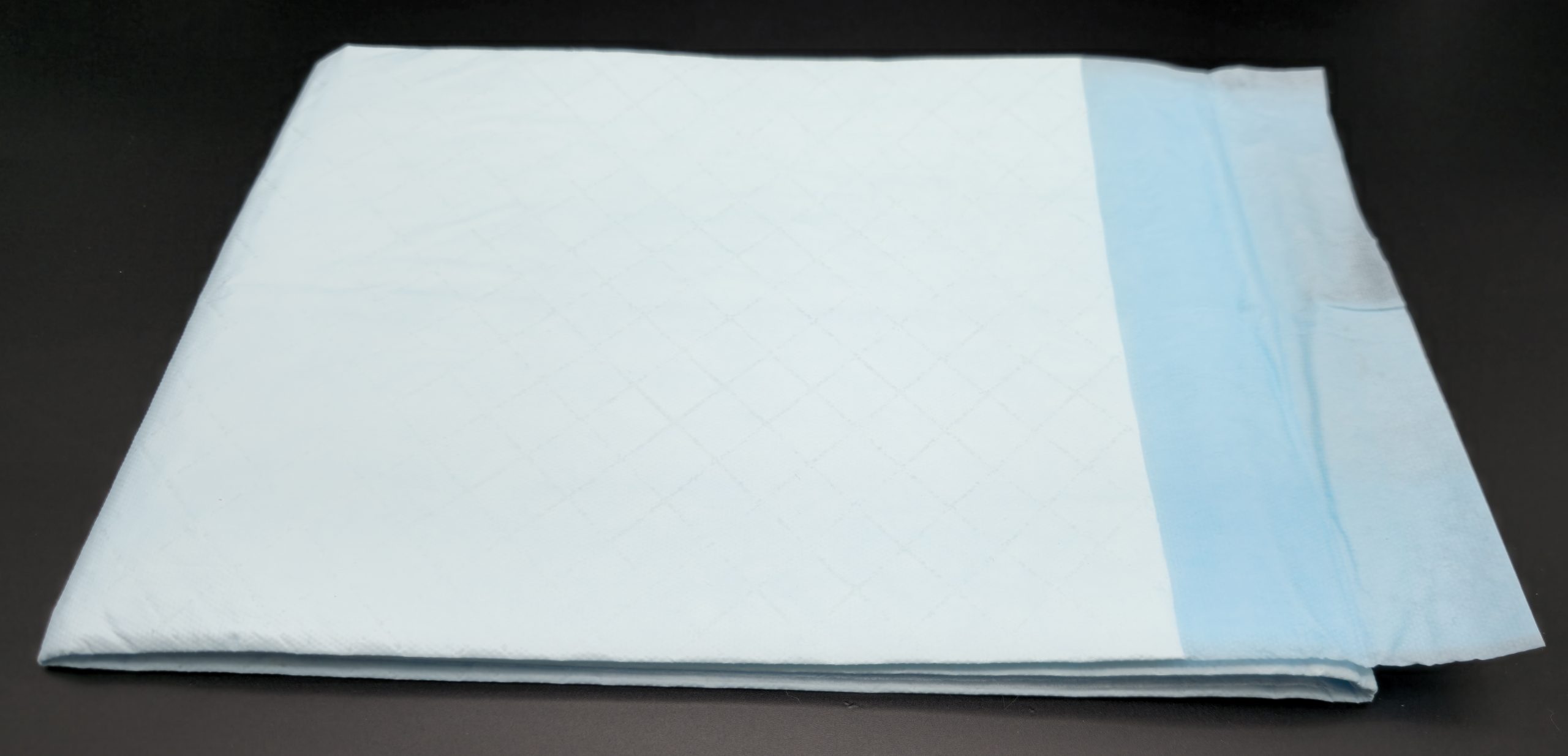 WMC Bettschutzeinlagen Einmalgebrauch 60×90 cm – Packung mit 25 saugenden Unterlagen, blaue rutschhemmende Rückseite